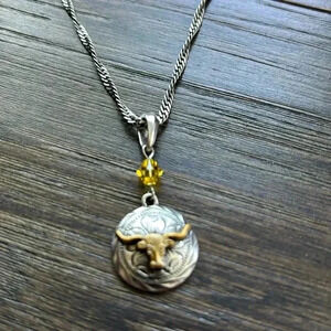 Bullhead Taurus pendant,silver tone antique  finish necklace & Fishhook Earrings